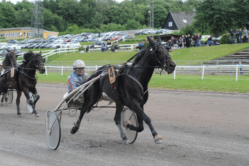 Der er stor interesse for at være med i Lundens nye anpartshes Bali Foto Ole HIndby