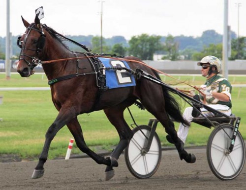 Bar Hopping . her med Yannick Gingras slog verdensrekordholderen Southjwind Frank i nat