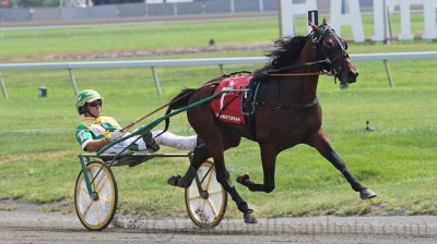 Bar Hopping -rækker han til mod de ældre? - Foto: Lisa Photo