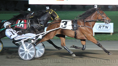 Bee a Magacision speedder stærkest af alle og vinder i 1.09.6. Lisa Photo