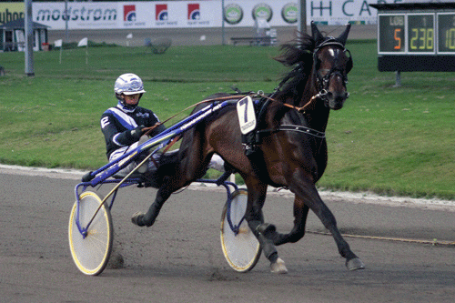 Beatriz. Foto Martin Timm Holmstav