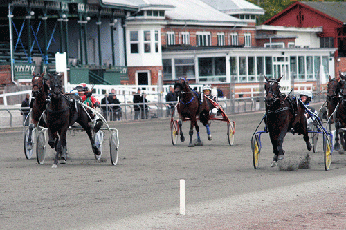 Beatriz i inderbanen vinder Dansk Hoppe Kriterium foran Beathebeastshadow, der sluttede godt af ude i banen. Foto Martin Timm Holmstav