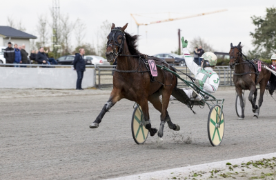 Første afkom efter Hoppe Derbyvinder i debut