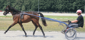 Whisre Lines lillesøster Blue Line, der på lørdag sælges på derbyauktionen