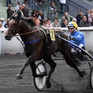 Bold Eagle . da den vandt for Jean Etienne Dubois den 30. august pรฅ Vincennes. Foto Gerard Forni