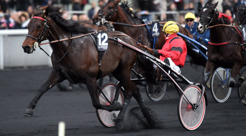 Bold Eagle vinder sikkert Prix de Belgique og Franck Nivard har tid til at se sig om efter konkurrenterne. Foto Gerard Forni