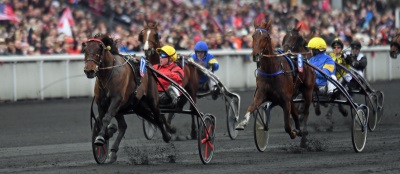 Bold Eagle vinder i ny verdensrekord 1.11.2/2700 m Foto Gerard Forni