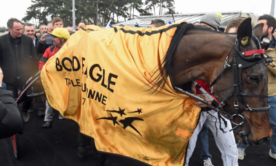 Bold Eagle var den store hest i Vintermeetinget. Foto Gerard Forni