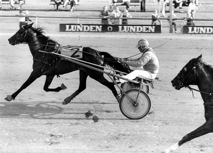 Hvem er det Jørgen Olsen vinder med her? Kan du hjælpe Bongo med svaret?