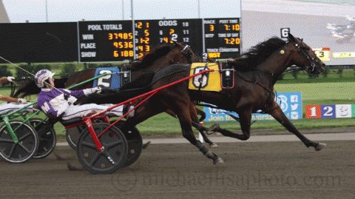Broadway Donna, der i fjor bkev kåret som Årets 2-årige Hoppe i USA, vandt 2. afd. af Miller Memorial. ÆLisa Photo