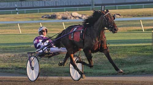 Broadway Donna - Foto: Lisa Photo