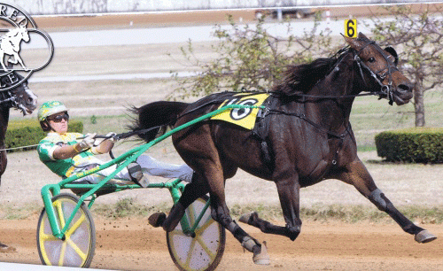 Buck I St Pat med Tim Tetrick i fkyvende stil. Arkivfoto