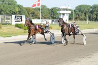 I Jydsk 2-årings Grand Prix kæmpede CD (indv) og Commit Boom Bay hårdt om sejren. Foto Ole Hindby