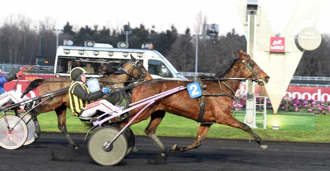 En koncentreret Stefan Lind-Holm bringe den vanskelige Buck Boko til sejr i det internatiinale amatørløb på Vincennes, hvor der var en førstepræmie på 7.200 Euro. Foto Gerard Forni