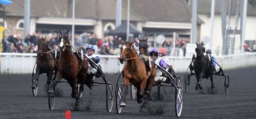 I Criterium des 3 Ans vandt Charly du Noyer i en spรฆndende oplรธbskamp foran Cobra Bleu. Bliver resultatet det samme i dag? Foto Gerard Forni