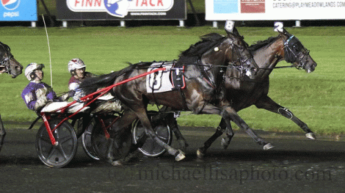 Broadway Donna er i galop og indvendigt vinder Celebrity Eventsy forsøget til Hambletonian Oaks Lisa Photo