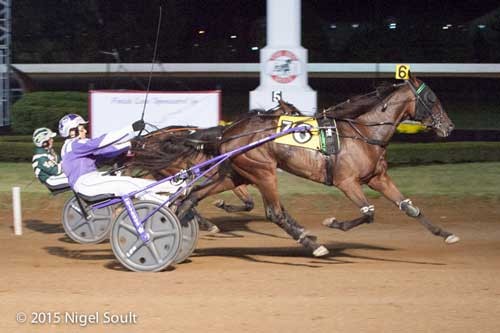 Celebrity Eventsy vandt i sidste uge i 1.11.7 og er igen til start i aften. Nigel  Soult Photo.