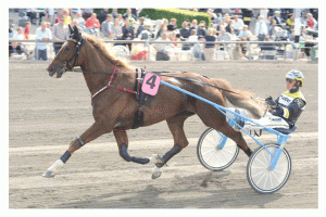 Commander Crowe,med Ôrjan Kihlström starter fra spor 1 i lørdagens storløb på Yinkers Raceway,