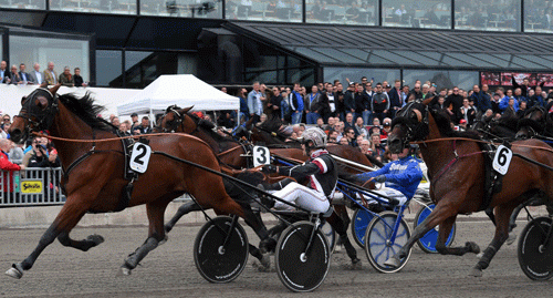 DANTE-BOKO-FINALE-SWEDEN-CUP