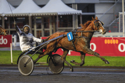 Dennis Kristiansen med Vichenko Chef ved sejren på Vincennes. Foto Eirik Stenhaug