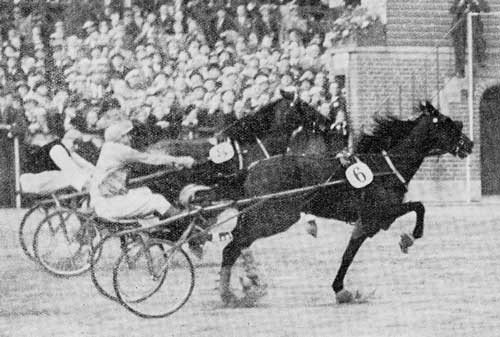 Ikke meget skilte indvendige Bellwod og Bjørn i Dansk Trav Derby 1940