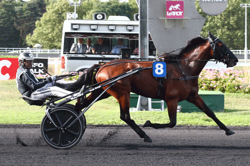 Diamangten vandt en meget sikker sejr. Foto Gerard Forni