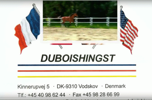 Duboishingste-presents