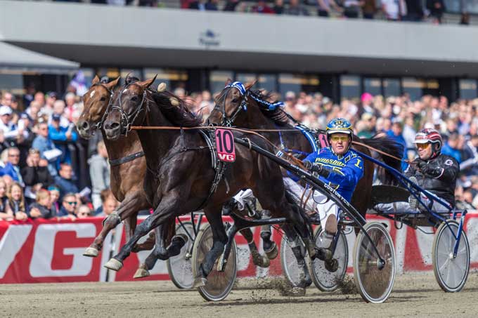 Duke of Greenwood med Hugo Langeweg Jr vandt Europamatchen. Foto Eirik Stenhaug