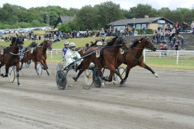 Inden finalen i Jydsk 4-årings Hoppe Grand Prix havde Jeppe Juel på vegne af Dusty Shadow (Andover Hall) udtalt, at han glædede sig til de store løb venstre rundt. Men at hesten også kunne højre rundt – ja, det beviste Dusty Shadow, da den efter en stor indsats sejrede i årets næststørste løb.  