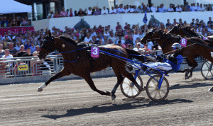 Timoko med Bjรธrn Goop tester formen i morgen aften pรฅ Cagnes sur Mer-banen. Foro Gerard Forni.