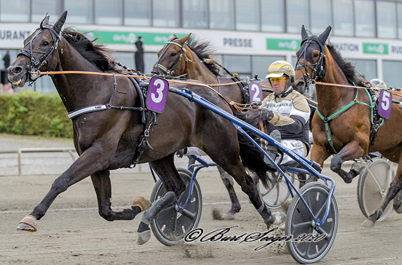 Dynamit-fredag: Sidste chance for V4-garanti