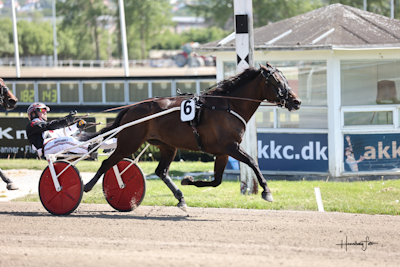 To pladser til DM på spil