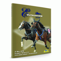Ellitsale-(002)