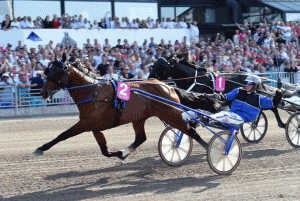 Timoko har kurs mod en ny sejr i Elitloppet. Foto Gerard Forni