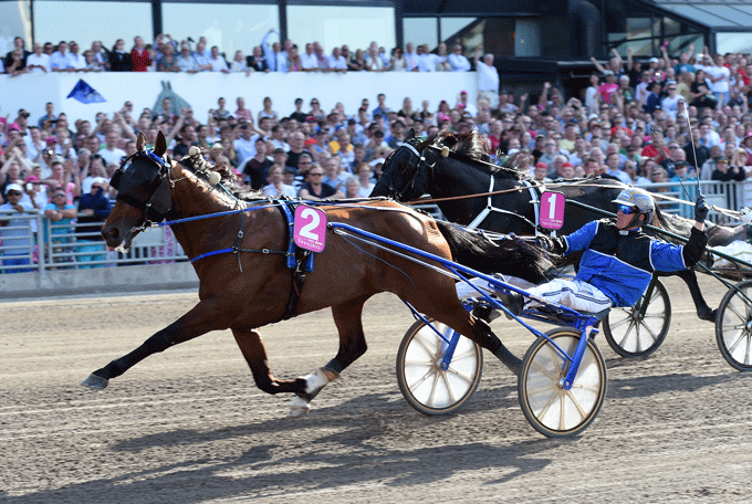 Elitloppsvinderen Timoko med Bjørn Goop kommer til Lunden på søndag!