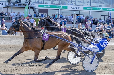 12-årige top traver måtte aflives efter fjerdeplads i 1.10.6