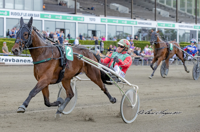 Hurtigklassen mødes Mini-DM i Odense