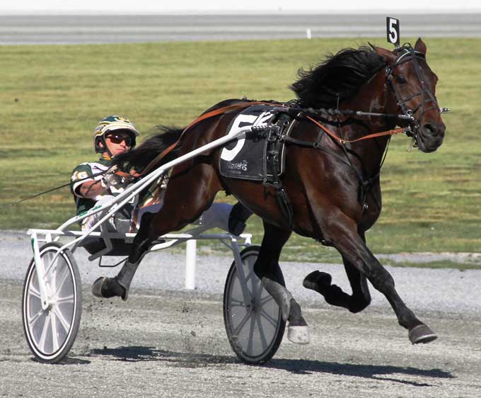 Father Patrick. Foto Ken Weingartner