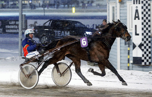 Ôrjan Kihlström -her i AIK Djurgaardens fraver vinder med favoritten Fighting Bax. Foto Kanal 75