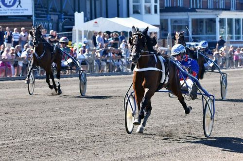 Flying Fortuna var helt overlegen for Christoffer Eriksson - Foto: Lasse Jespersen