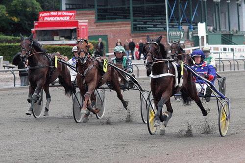 Flying Fortuna med Christoffer Eriksson vandt også sin anden start sikkert . Foto Martin Timm Holmstav