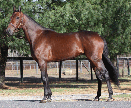 Er det købers marked?