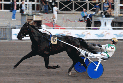 Peter Jensen-trænede Frozen her med Jeppe Juel starter i Sølvdivisionen lørdag -  Foto Halmstad Traet