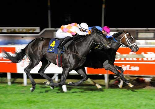 Indvendige Funk Soul Brother med Kevin Stitt løber dødt løb med Matauri med Ellone Chaeves. Foo Stefan Olsson/Svensk Galopp