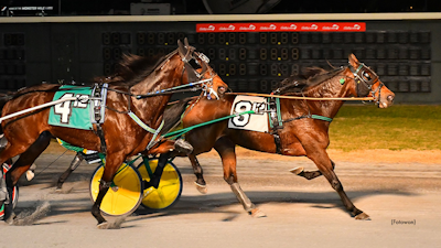 Global Believer fortsat uden sejr i 2024