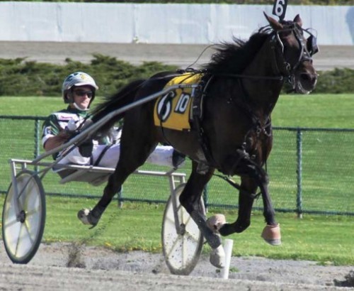 Habvitat . her med Yannnick Gingras. Aekiv