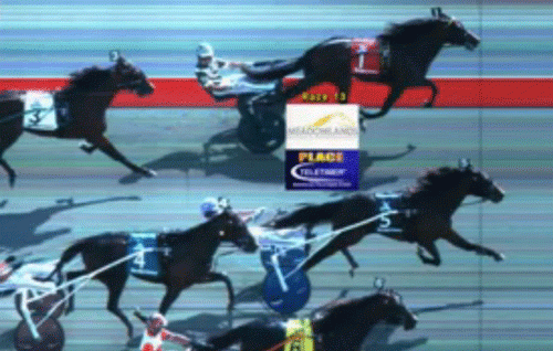 Målfotoet viste, at Marion Marauder havde vundet foran Southwind Frank