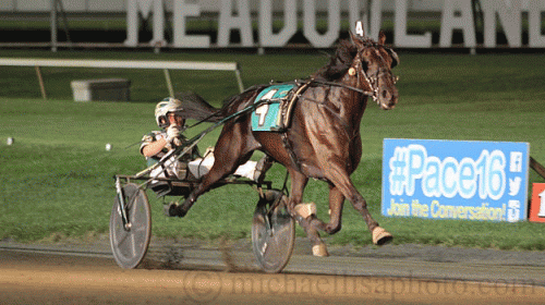 Hannelore Hanover leger med konkurrenterne i Hambletonian Maturity for Yannick Gingras - Foto: Lisa Photo