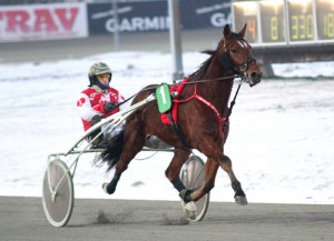 Haras du Pin - solgt til Finland.