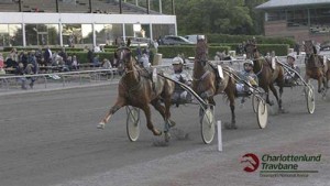 Indian Summer sรฆsondebuterer i eftermiddag